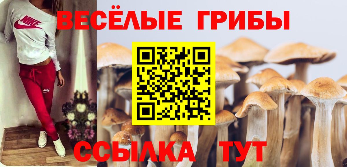 Галлюциногенные грибы мухоморы  Вход с VPN  Псилоцибиновые грибы Psilocybine cubensis  Лыткарино 