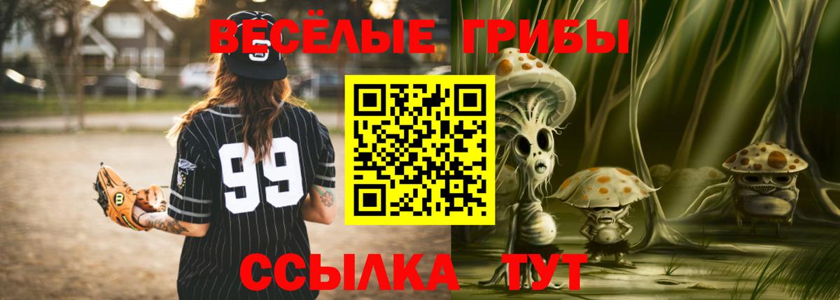 Псилоцибиновые грибы Psilocybe Лыткарино